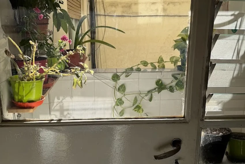 bfae4e21-bd70-4050-93ce-3ba37876de3e_u_large