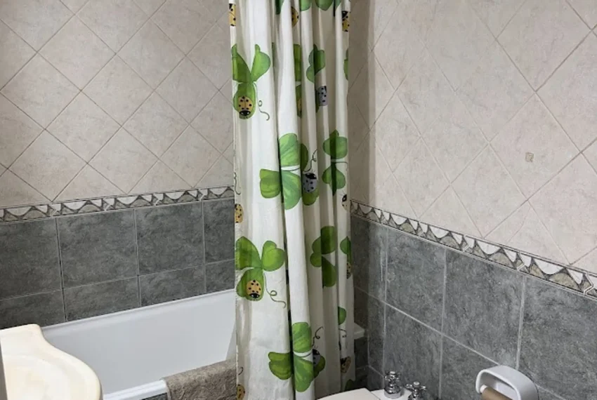 dd56da0d-a7a9-41d8-98df-4e2de08a0617_u_large